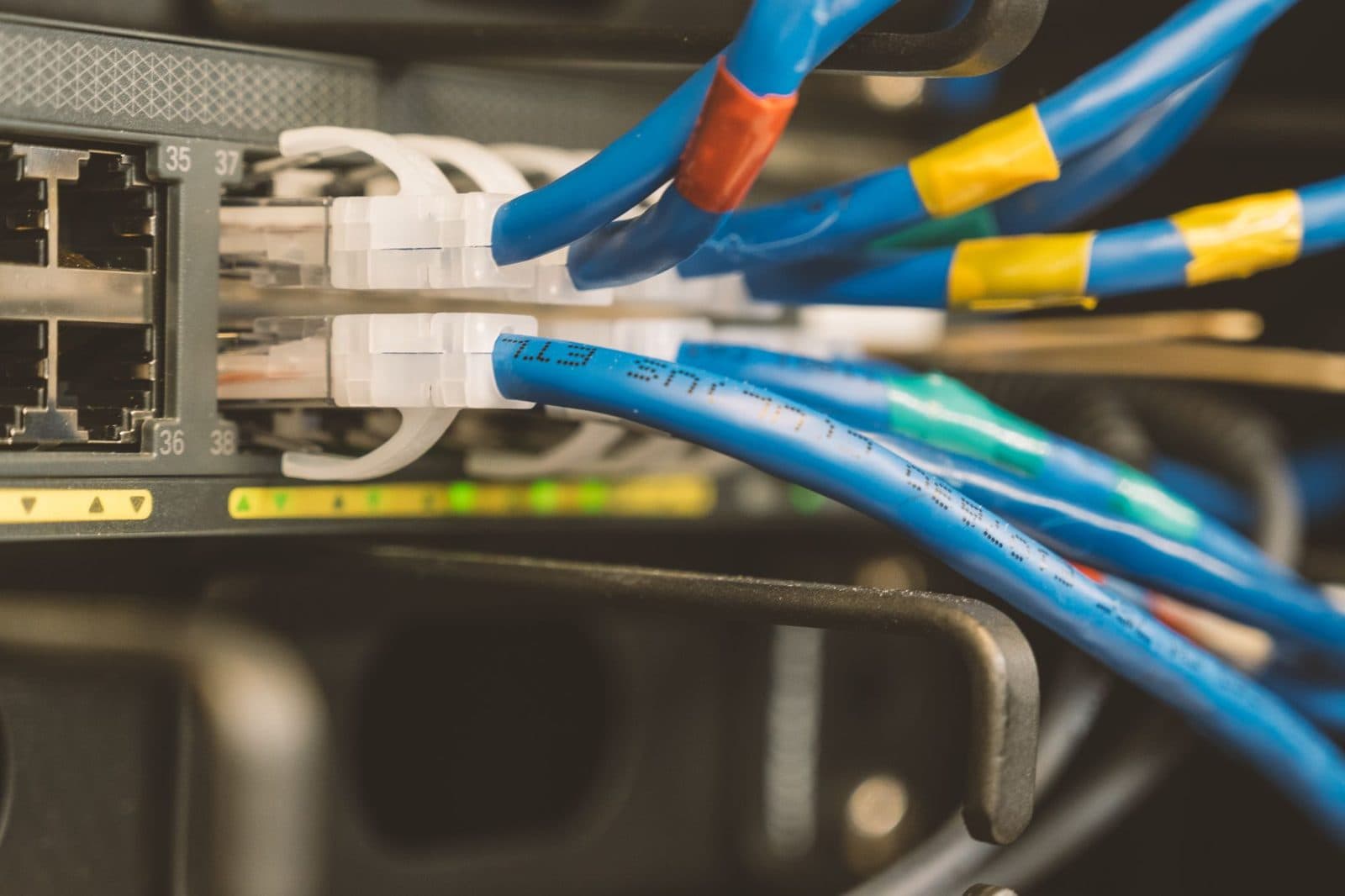 كابلات شبكة زرقاء موصولة بمنافذ RJ45 في مُحوّل شبكة بمؤشرات ضوئية خضراء مُضاءة