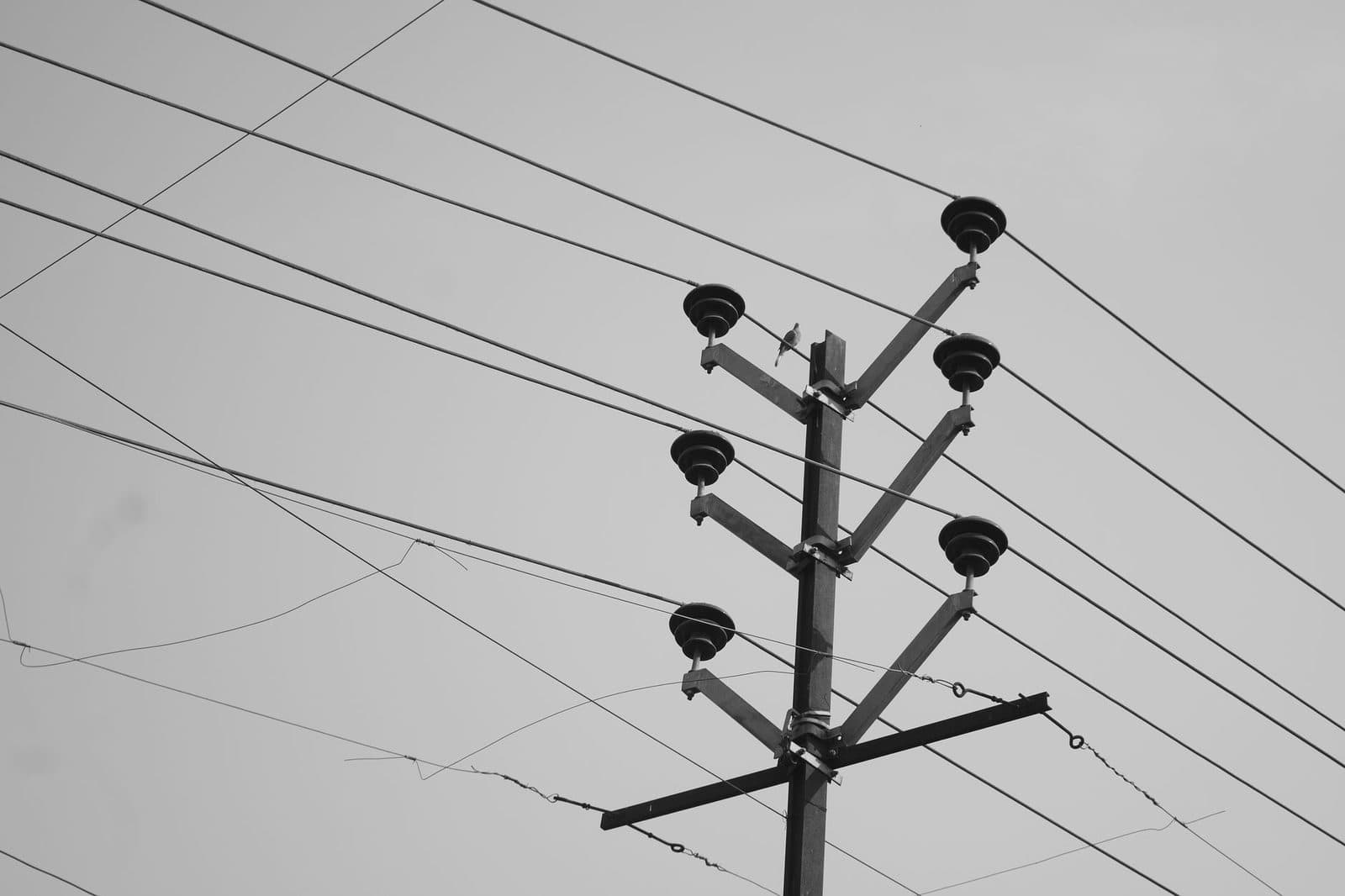 Black-and-white photo of a telephone pole with insulators and overhead lines against a grey sky