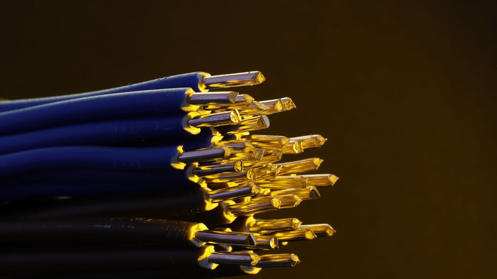 Primer plano de un haz de cables telefónicos azules con los hilos de cobre pelados sobre fondo oscuro